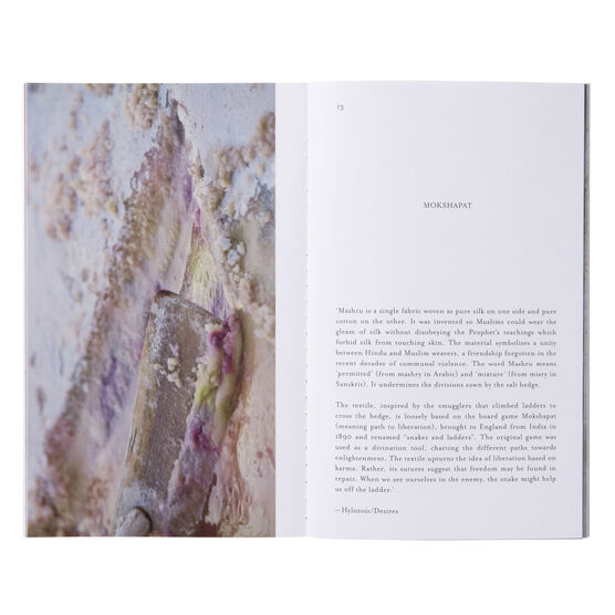 Art Now: Hylozoic/Desires exhibition book